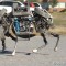 Boston Dynamics Introduces WildCat